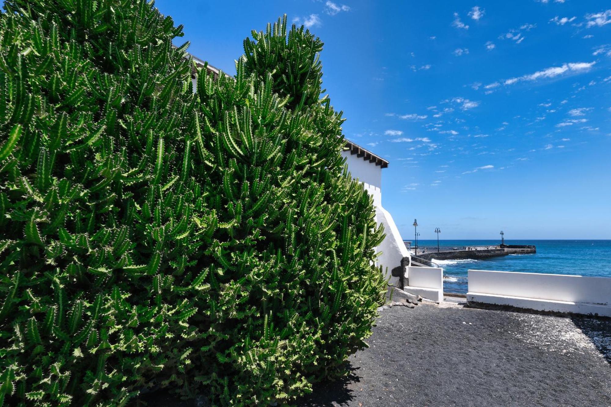 Casa Aramen A Few Meters From The Ocean Villa Arrieta  Eksteriør bilde